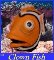ClownFish